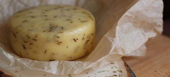 рецепт приготовления сыра качотта в домашних условиях