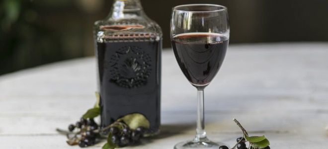 вино из черноплодки в домашних условиях