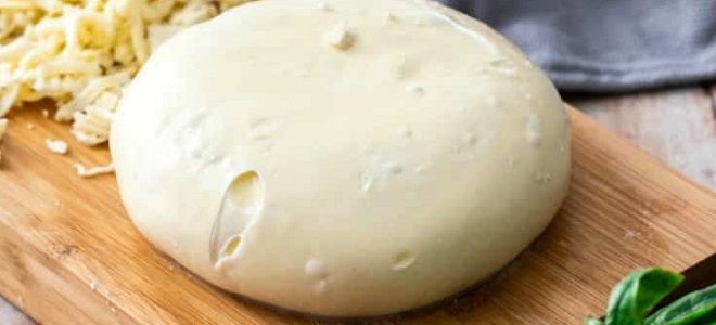 сыр моцарелла в домашних условиях рецепт