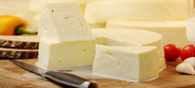 сыр сулугуни рецепт приготовления в домашних условиях
