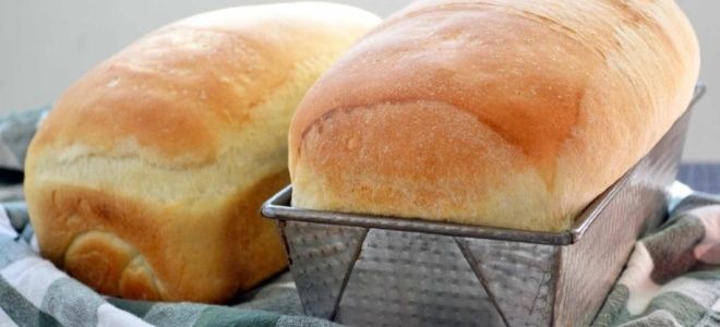 белый хлеб в духовке