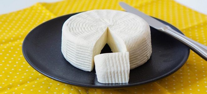 сыр брынза в домашних условиях из молока