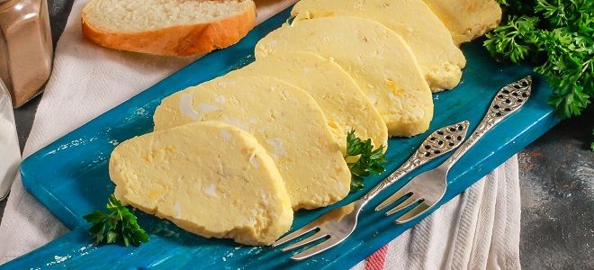 домашний сыр из молока и яиц
