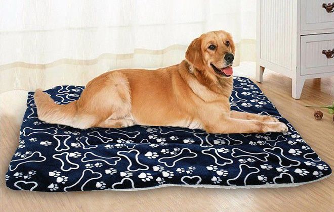 лежак для собаки больших размеров