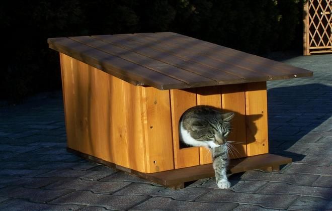 будка для кошки