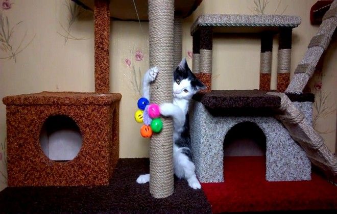 игровой домик для котов