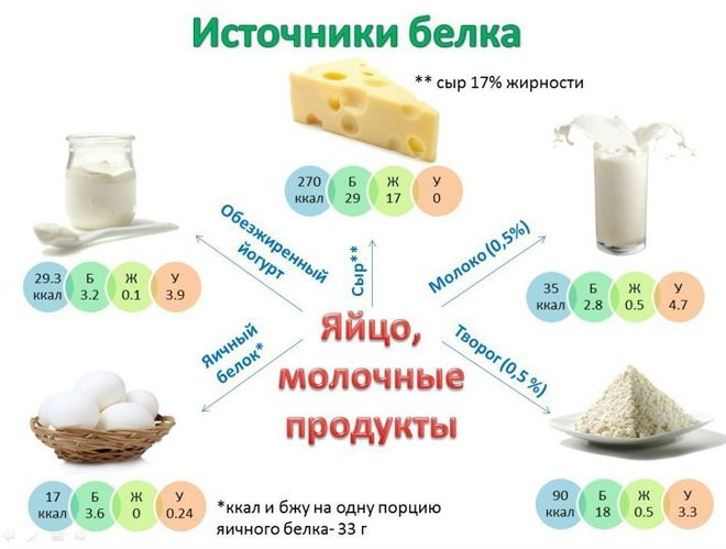 белок в молочных продуктах
