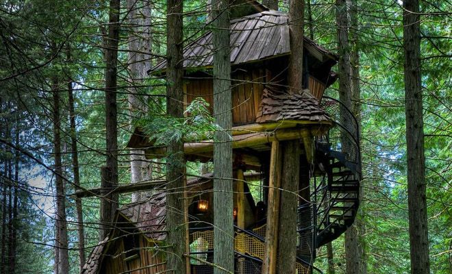 заколдованный домик в лесу