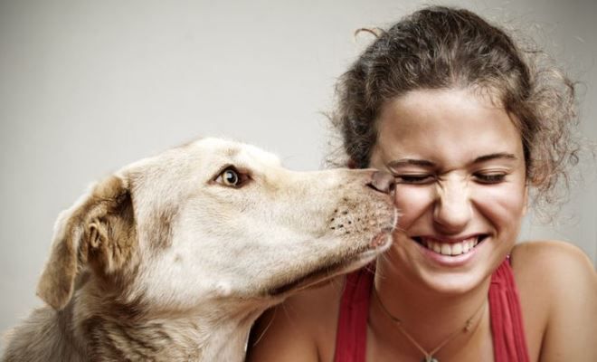 какие эмоции дарит человеку общение с животными