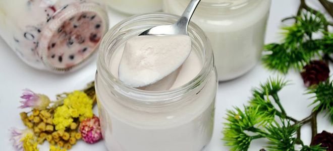 ацидофильный йогурт польза