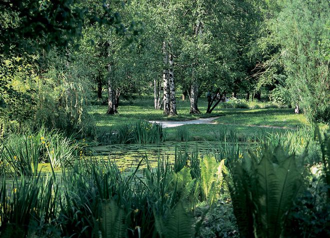 Ботанический сад Любляны - зеленое и живописное место