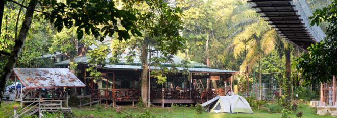 База отдыха Freme Rainforest Lodge