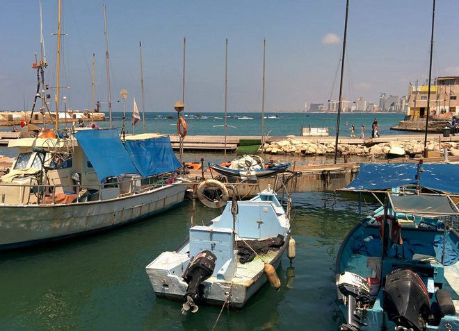Старый порт Тель-Авива подходит для морских прогулок 