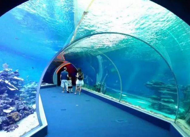 Подводные лабиринты в океанариуме