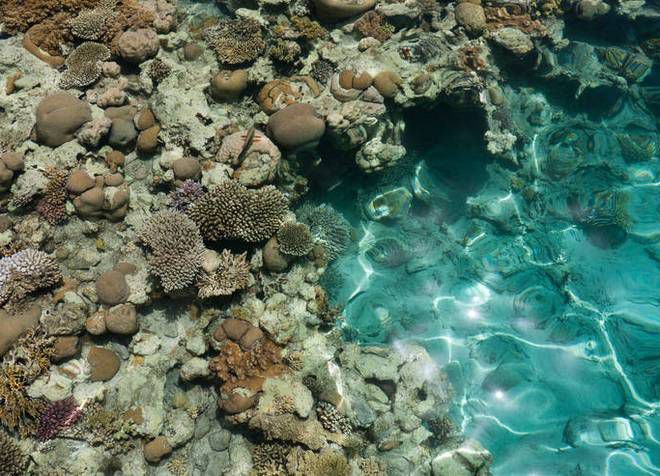 Коралловый пляж в Эйлате поражает своей красотой