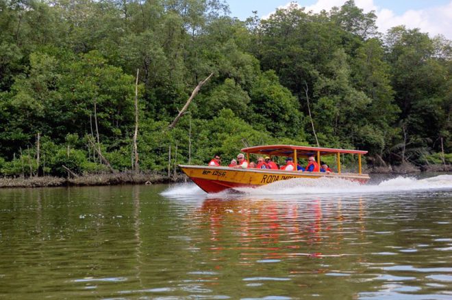 Прогулочная лодка на реке Бруней