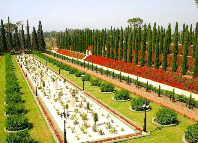 В Бахайских садах имеется множество зеленых насаждений