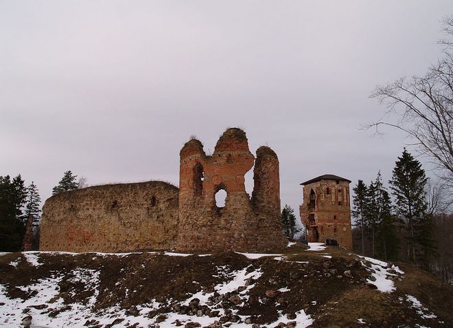 Живописные руины замка Нейгаузен