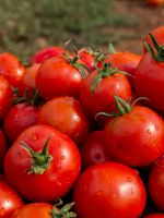 К чему снятся красные помидоры?