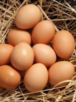 К чему снятся куриные яйца?
