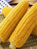 Как хранить кукурузу?