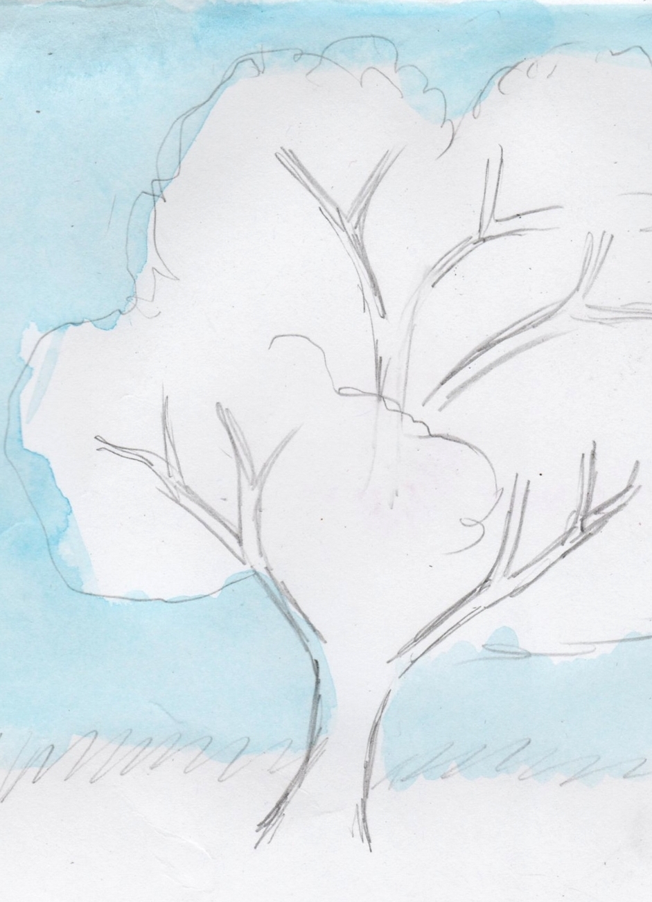 Как рисовать дерево. Детские рисунки деревьев карандашом. Поэтапное рисование зимнего дерева. Рисование для начинающих дерево. Рисование дерева поэтапно.