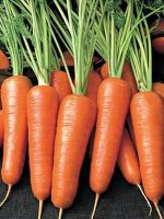 Калорийность сырой моркови