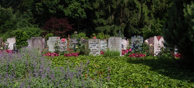 Кладбище Флунтерн в Цюрихе