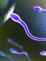 Агрегация сперматозоидов
