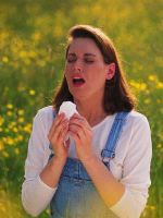 Аллергия на амброзию – симптомы