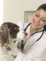 Чем лечить кашель у собаки?