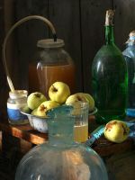 Домашнее яблочное вино – рецепт