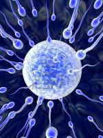 Расшифровка спермограммы: что влияет на качество спермы и как  увеличить подвижность сперматозоидов?