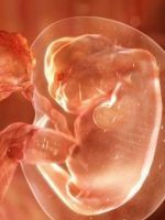 Имплантация эмбриона – признаки
