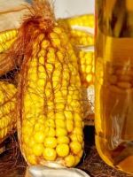 Кукурузное масло – польза и вред