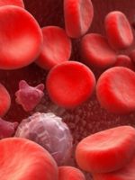 Повышенные лейкоциты в крови – причины
