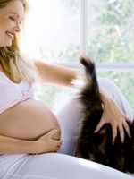 Токсоплазмоз у беременных