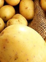 Урожайность картофеля с 1 га