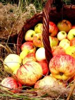 Яблочный спас - история праздника 