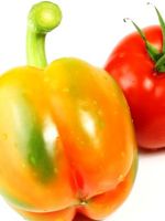 Подкормка рассады томатов и перца