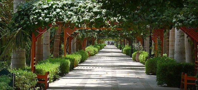 Сады Святого Антония