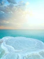 Самое соленое озеро в мире