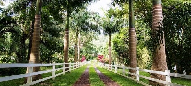 Ботанический сад Jessamine Eden, Гренада