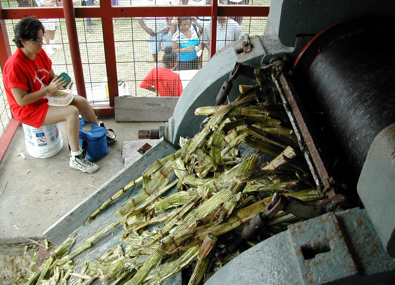 Сахарный тростник производство. Завод сахарного тростника. Сахарные заводы Бразилии. Переработка сахара. Переработка сахарного тростника.