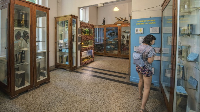 2 зала посвящены научным и историческим изысканиям