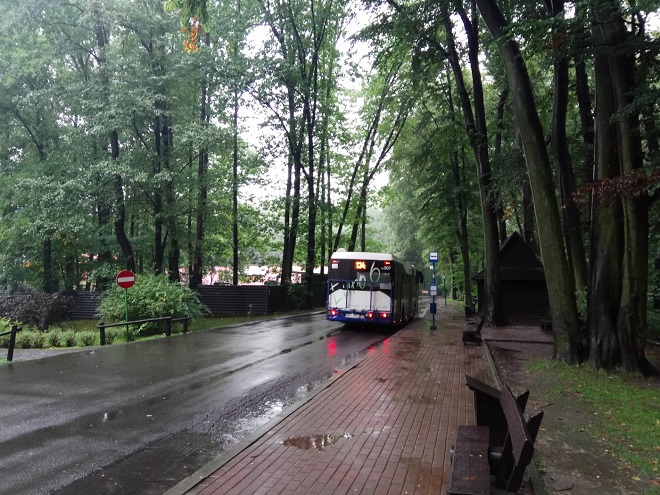 Автобус №134 в Краковский зоопарк