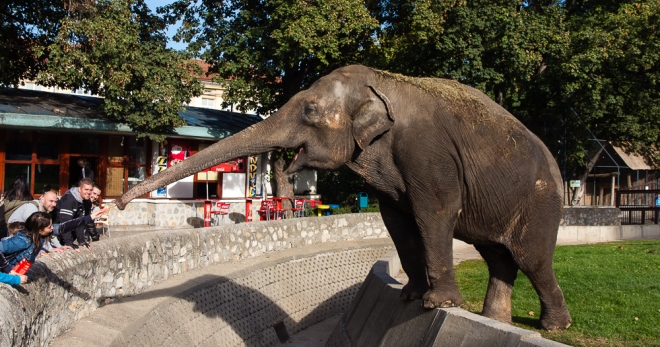 Белградский зоопарк