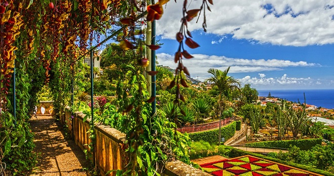 Ботанический сад Мадейра
