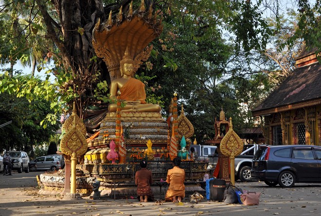 Будда под священным деревом
