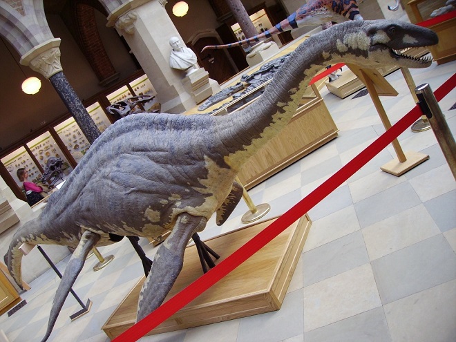 Чем интересен музей лохнесского чудовища